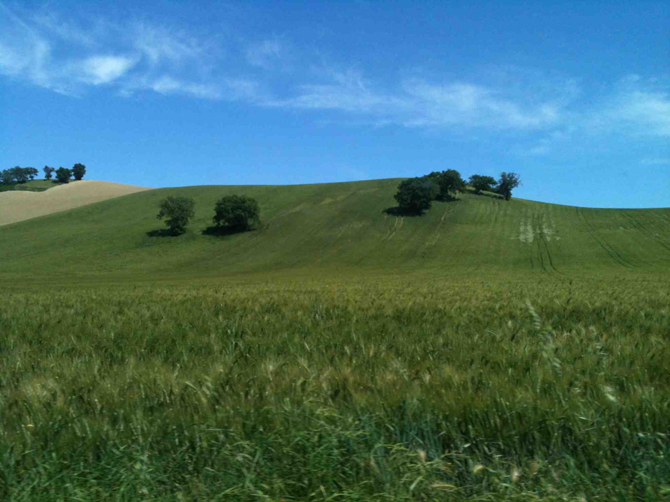 colline dalla provinciale